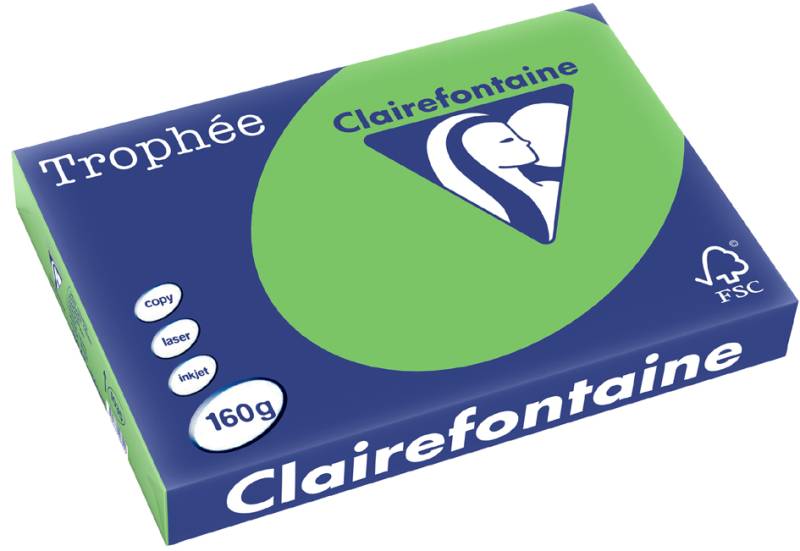 Clairefontaine Multifunktionspapier, DIN A3, maigrün von Clairefontaine