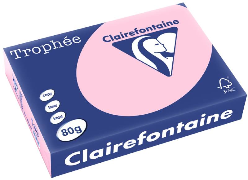 Clairefontaine Multifunktionspapier Trophée, A4, aprikose von Clairefontaine