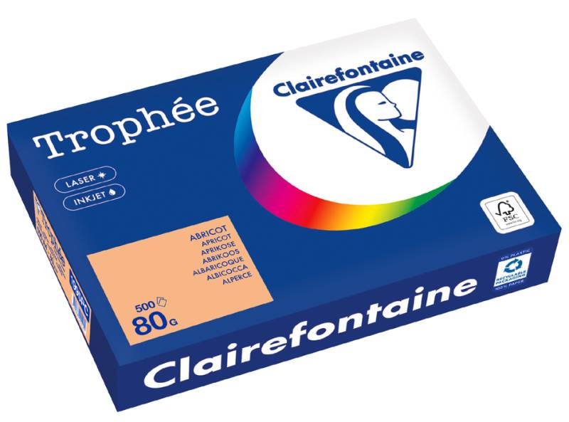 Clairefontaine Multifunktionspapier Trophée, A4, stahlgrau von Clairefontaine