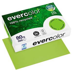 Clairefontaine Recyclingpapier Evercolor lindgrün DIN A4 80 g/qm 500 Blatt von Clairefontaine