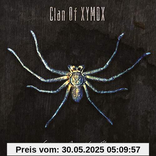 Spider on the Wall Spider on the Wall von Clan of Xymox