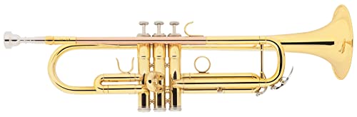 Classic Cantabile TR-30L Bb-Trompete (Schallbecher Messing 123 mm, Mundrohr Goldmessing, Monel-Ventile, Bohrung 11,65 mm) von Classic Cantabile