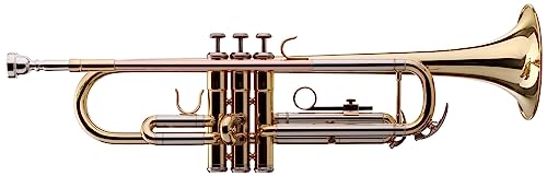 Classic Cantabile TR-39 Bb-Trompete (Schallbecher Messing 125 mm, Mundrohr Goldmessing, Stimmzug Neusilber) von Classic Cantabile