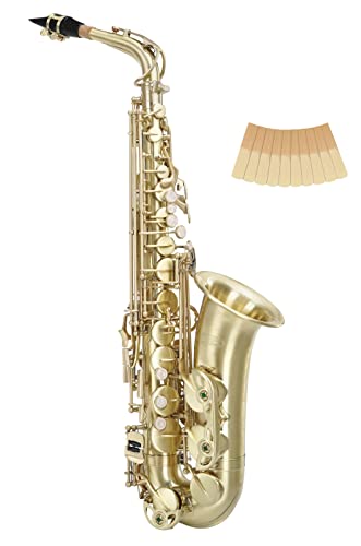 Classic Cantabile Winds AS-450 Brushed Eb Altsaxophon - Es-Stimmung - Hoch-Fis-Klappe - Spar-Set inkl. 10 Stück Saxophon-Blätter von Classic Cantabile