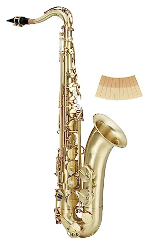 Classic Cantabile Winds TS-450 Brushed Bb Tenorsaxophon - Bb-Stimmung - Hoch-Fis-Klappe - Spar-Set inkl. 10 Stück Saxophon-Blätter, Stärke 2.0 von Classic Cantabile