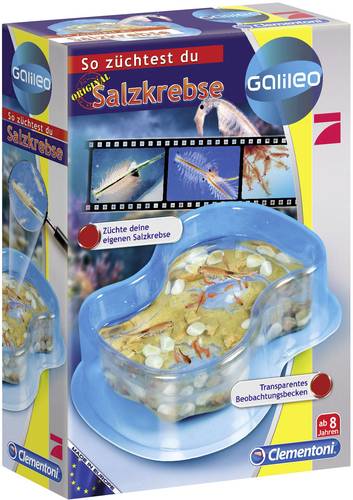 Clementoni 69937 Galileo - Original Salzkrebse Experimentierkasten ab 8 Jahre von Clementoni