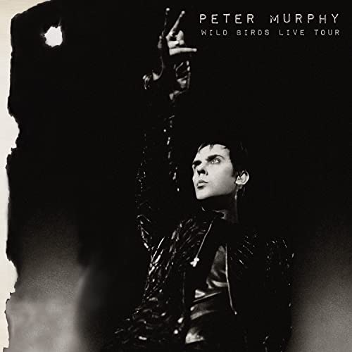 Wild Birds Live Tour Wild Birds Live Tour von Cleopatra