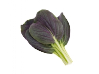 Click & Grow RED PAK CHOI PFLANZENKAPSELN, Essbare Pflanze, Nachfüllen, Schnellwachsend (3-5 Wochen), 7 - 14 Tag(e), 1 Monat( e), 3 Stück(e) von Click and Grow