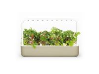 Click & Grow Smart Garden 9, LED, 9 Lampen von Click and Grow