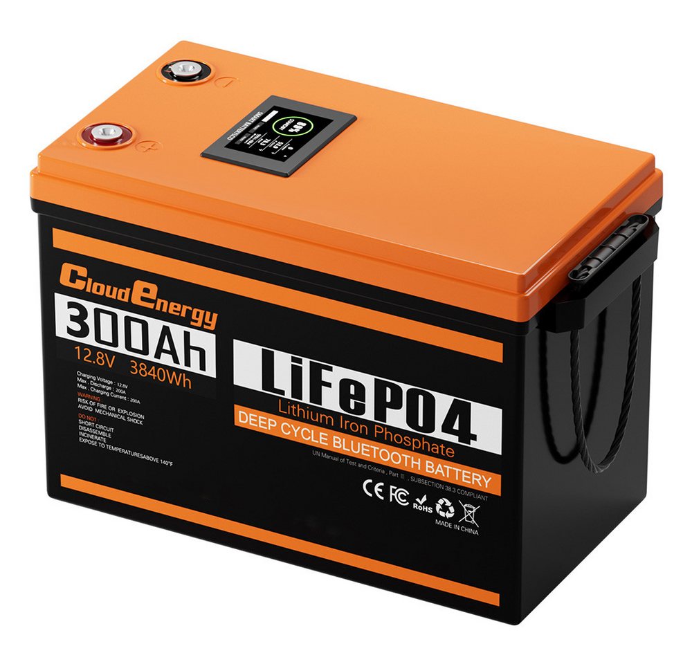 Cloudenergy 12V 300Ah LiFePO4 Akku-Pack Backup Power, 3840Wh Energie, 6000+ Zyklen Akkupacks (12.8 V), Ersetzen des Großteils der Notstromversorgung, Wohnmobil, Boote, Solar von Cloudenergy