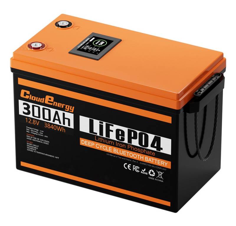 Cloudenergy 12V 300Ah LiFePO4 Akku-Pack Backup Power, 3840Wh Energie, 6000+ Zyklen Akkupacks (12.8 V), Ersetzen des Großteils der Notstromversorgung, Wohnmobil, Boote, Solar von Cloudenergy