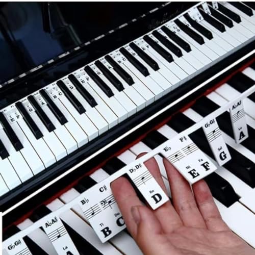 Silikon Klavier Noten Sticker,für Anfänger, abnehmbare Klaviertastatur Notiz Aukleber für das Lernen, Tastatur 88-Tasten in voller Größe von Cloudsemi
