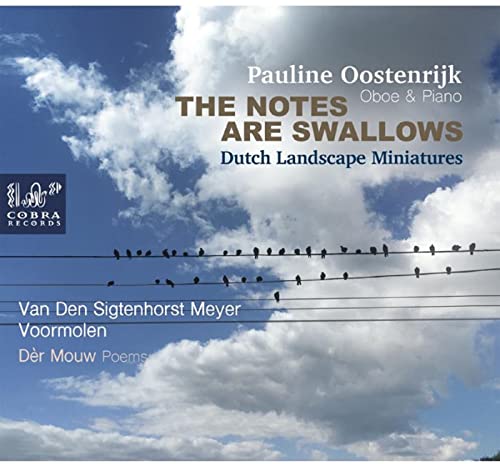 The Notes Are Swallows von Cobra (Klassik Center Kassel)