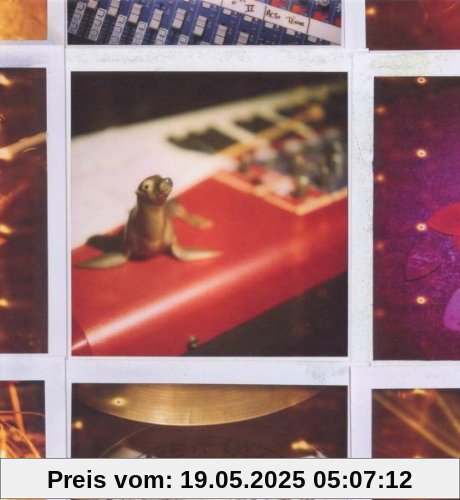 Back To Panda Mountains (CD+DVD) von Cocoon