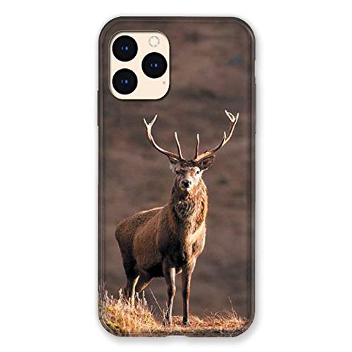 Cokitec Schutzhülle für iPhone 12 Mini Hirsch Jagd Weiß von Cokitec