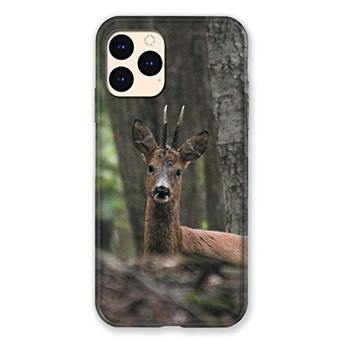 Schutzhülle für iPhone 12 Mini Hirsch Jagd Holz von Cokitec