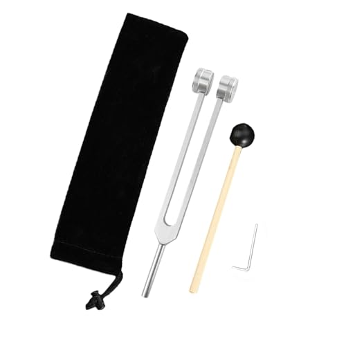 Colcolo Stimmgabel-Set, Prüfgabel zum Ohrenpflücken mit Hammer und Aufbewahrungstasche, Hörhilfe-Werkzeug, Ohrenreinigungsmittel für zu Hause, 24.5 cm, silber von Colcolo