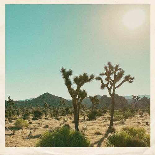 Sunday Soul [Vinyl LP] von Cold Busted