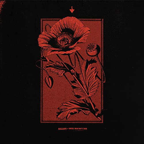 Until the Day I die von Cold Spring
