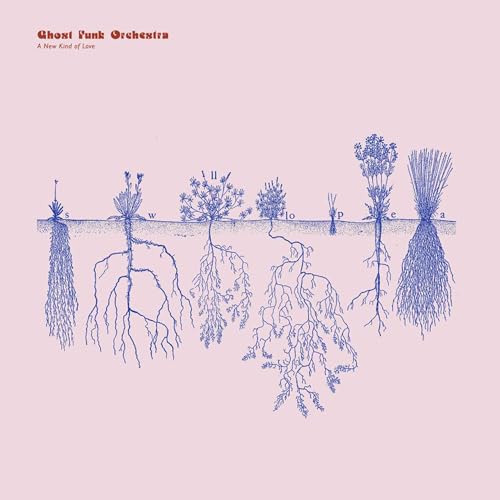 A New Kind of Love von Colemine Records