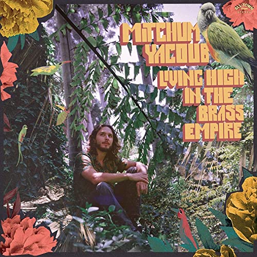 Living High in the Brass Empire [Vinyl LP] von Colemine