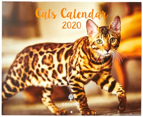 Collins Cats Kalender 2020 von Collins