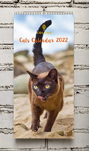 Collins Katzenkalender, 2022, 390 x 180 mm, Wiro-Wandkalender von Collins