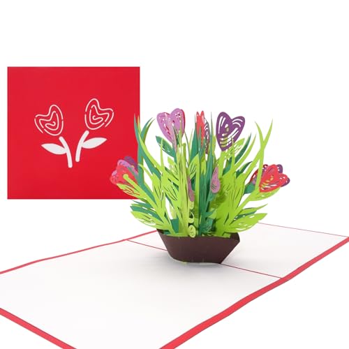 3D Geburtstagskarte Bunte Blumen - Pop Up Karte zum Geburtstag mit Umschlag - als Grußkarte, Geschenkgutschein, Dankeschön & Geschenkverpackung von Cologne Cards