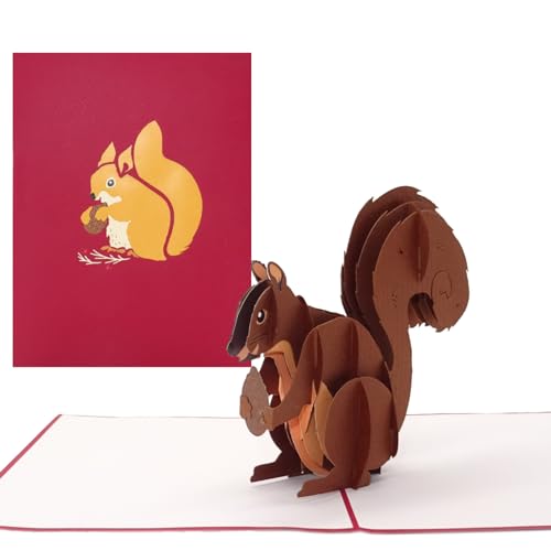 Pop Up Karte „Eichhörnchen“ lustige 3D Geburtstagskarte; Einladungskarte und Weihnachtskarte mit Umschlag als Gutschein, kleines Geschenk, Geschenkidee und Deko von Cologne Cards