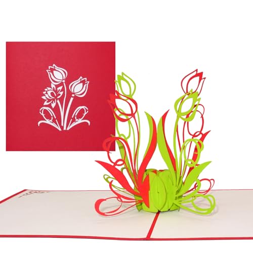 Pop Up Karte „Tulpen in Rot & Grün“ 3D Geburtstagskarte - Tulpenkarte als kleines Geschenk, Gutschein oder Geschenkverpackung – zum Geburtstag oder als Dankeskarten & Dankeschön Geschenk von Cologne Cards