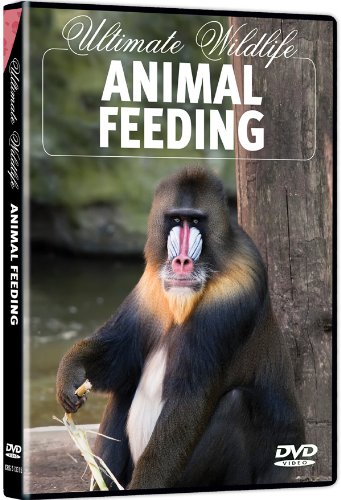 Ultimate Wildlife: Animal Feeding / (Amar) [DVD] [Region 1] [NTSC] [US Import] von Columbia River