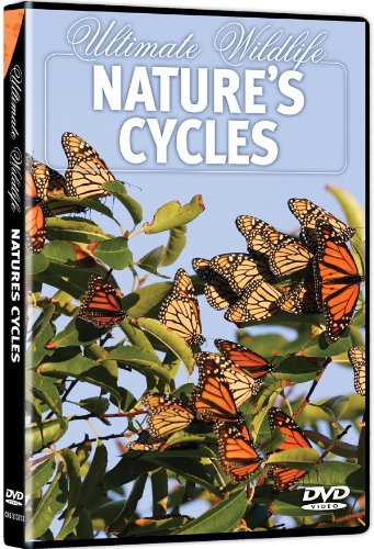 Ultimate Wildlife: Nature's Cycles / (Amar) [DVD] [Region 1] [NTSC] [US Import] von Columbia River