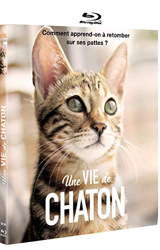 Une vie de chaton [Blu-ray] [FR Import] von Koba Films