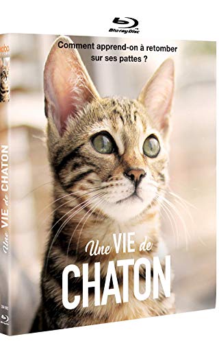 Une vie de chaton [Blu-ray] [FR Import] von Coming Soon Home Video