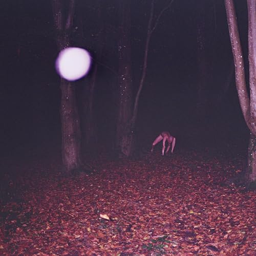 Skinwalker [VINYL] [Vinyl LP] von COMMUNION RECORDS