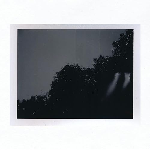 Ruin Value [Musikkassette] von Community Records/Topshelf