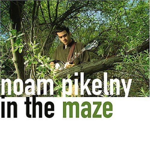 In the Maze by Noam Pikelny (2004) Audio CD von Compass Records