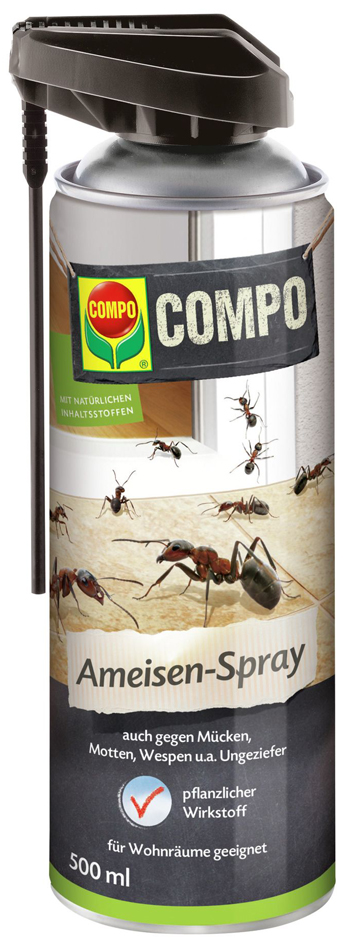 COMPO Ameisen-Spray N, 500 ml Spraydose von Compo