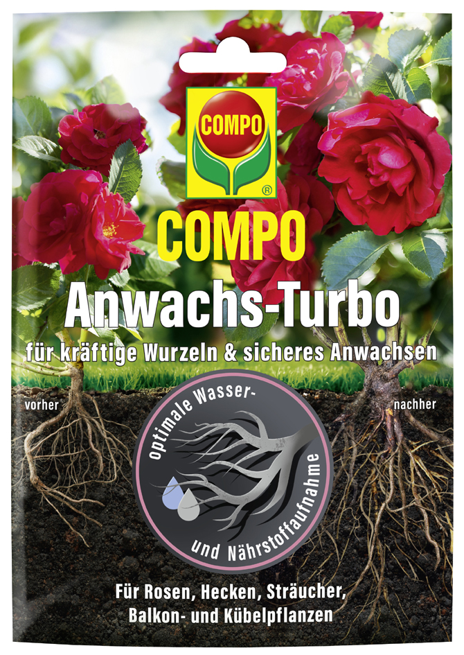 COMPO Anwachs-Turbo, Minibeutel à 50 g COMPO Anwachs-Turbo, Minibeutel à 50 g von Compo