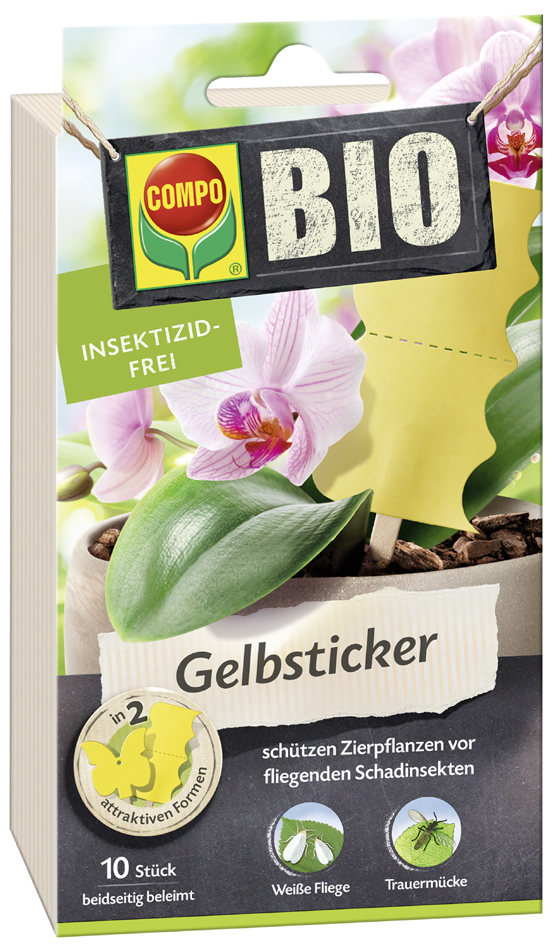 COMPO BIO Gelbsticker, Leimfalle, insektizidfrei von Compo