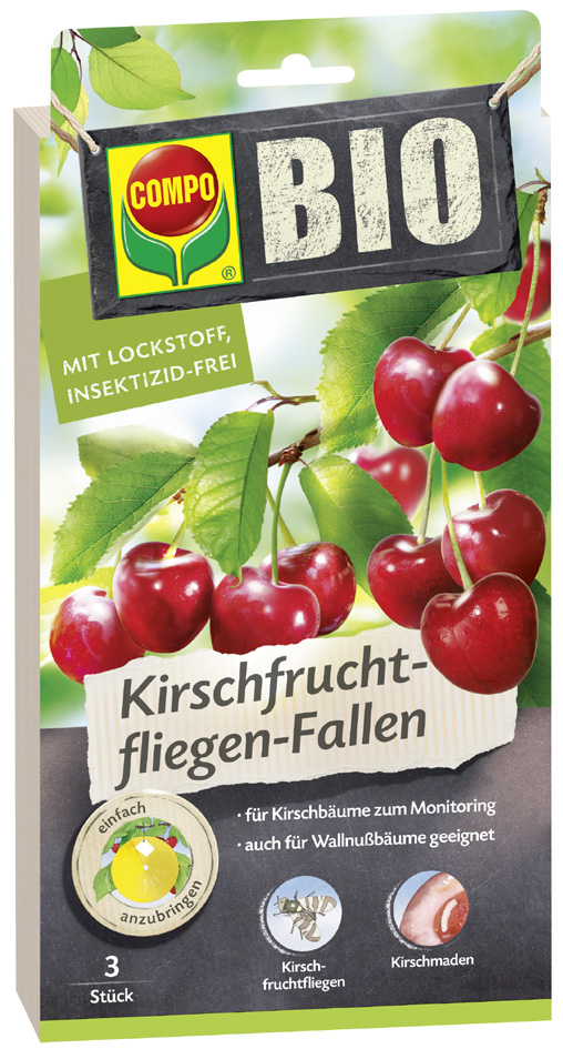 COMPO BIO Kirschfruchtfliegen-Falle, Leimfalle von Compo