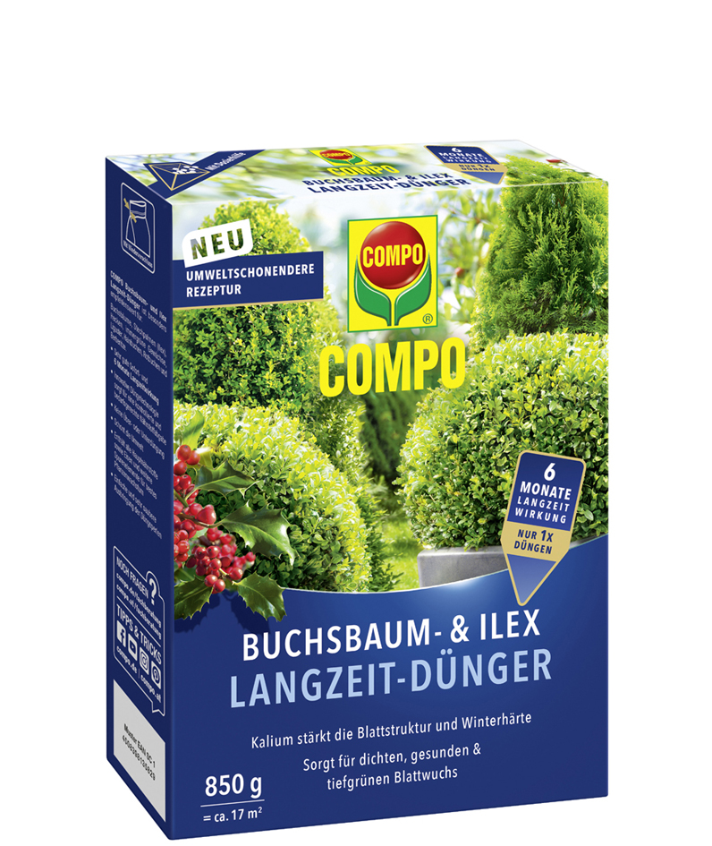 COMPO Buchsbaum- und Ilex Langzeit-Dünger, 850 g von Compo