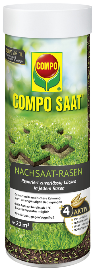 COMPO SAAT Nachsaat-Rasen, 1 kg für 50 qm von Compo
