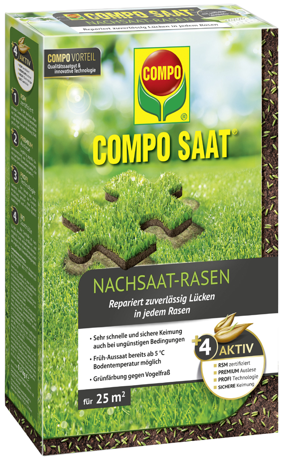 COMPO SAAT Nachsaat-Rasen, 500 g für 25 qm COMPO SAAT Nachsaat-Rasen, 500 g für 25 qm von Compo