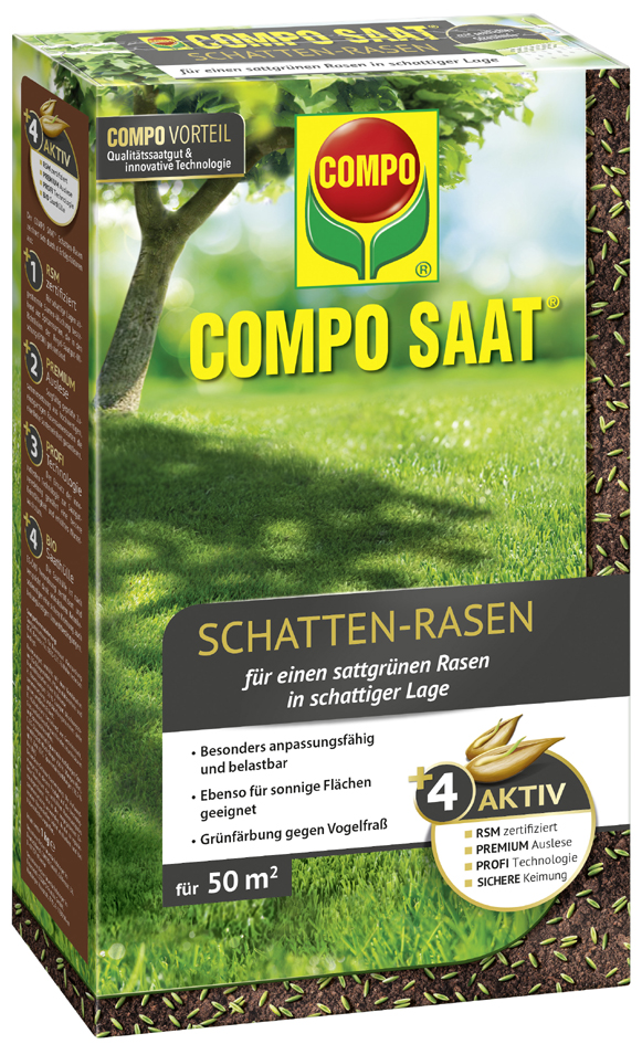 COMPO SAAT Schatten-Rasen, 1 kg für 50 qm von Compo