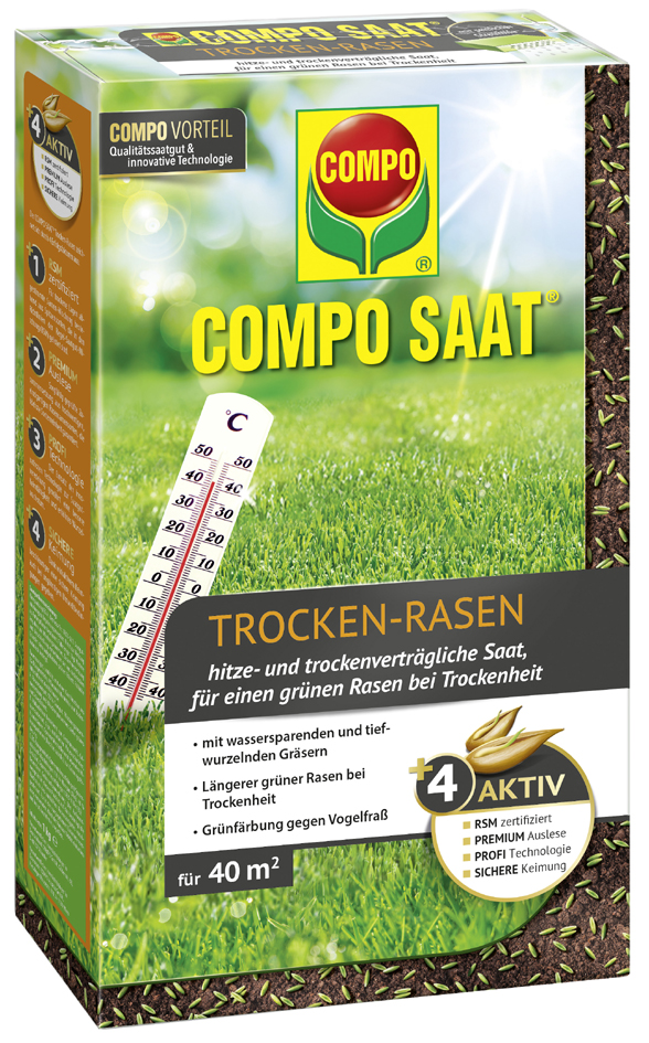 COMPO SAAT Trocken-Rasen, 2 kg für 80 qm von Compo