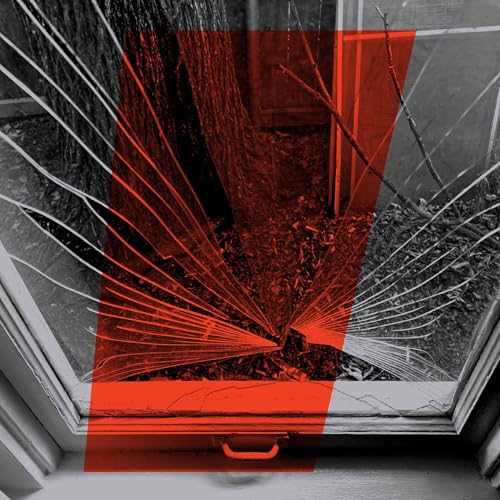 End Comes Too Soon [Vinyl LP] von Computer Students / Indigo