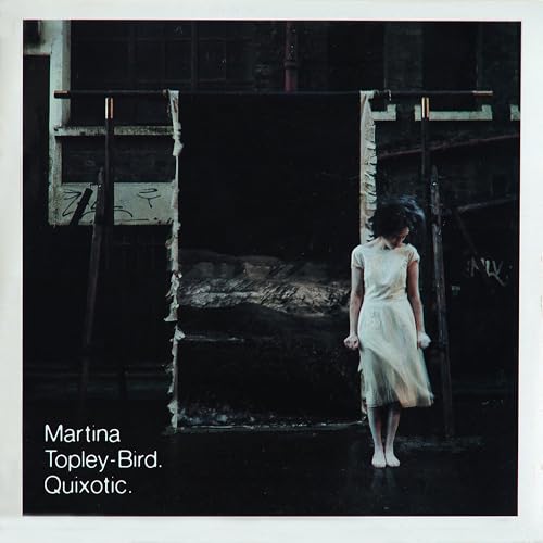 Quixotic (2LP) [Vinyl LP] von Concord Music Group