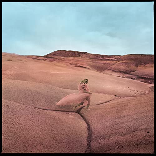 Strays (Ltd.Shrimp Pink Vinyl) von Concord