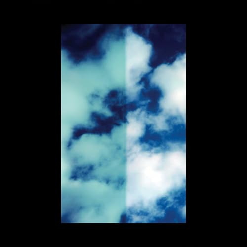 Every Life Is a Light [Vinyl LP] von Constellation / Cargo